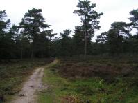 Klik op de foto voor groter formaat